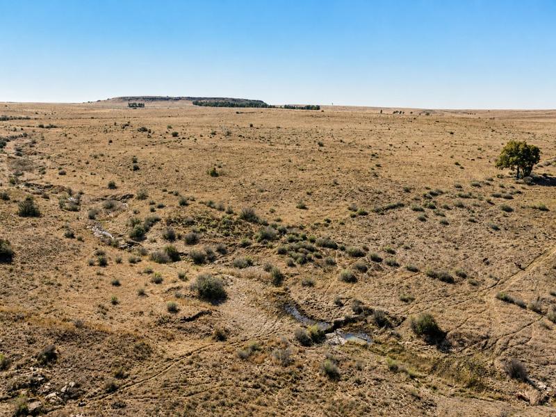 0 Bedroom Property for Sale in Lindley Free State